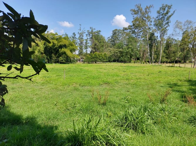 Lote en venta en El Porvenir, Rionegro, 4602 m² · foto 8 de 11
