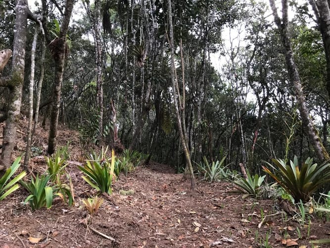 Finca en venta en Sajonia, Rionegro, 34365 m² · foto 6 de 24