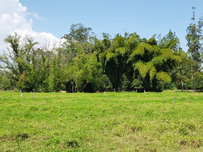 Lote en venta en El Porvenir, Rionegro, 4602 m² · foto 9 de 11