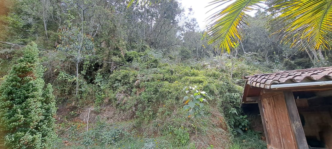 Finca en venta en Sajonia, Rionegro, 34365 m² · foto 7 de 24