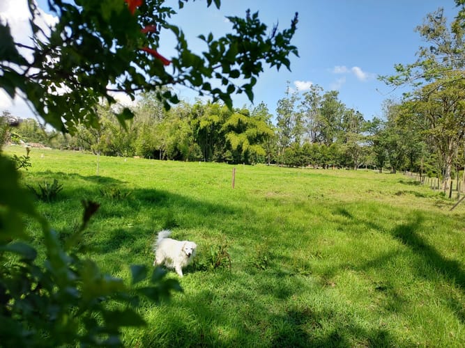 Lote en venta en El Porvenir, Rionegro, 4602 m² · foto 10 de 11