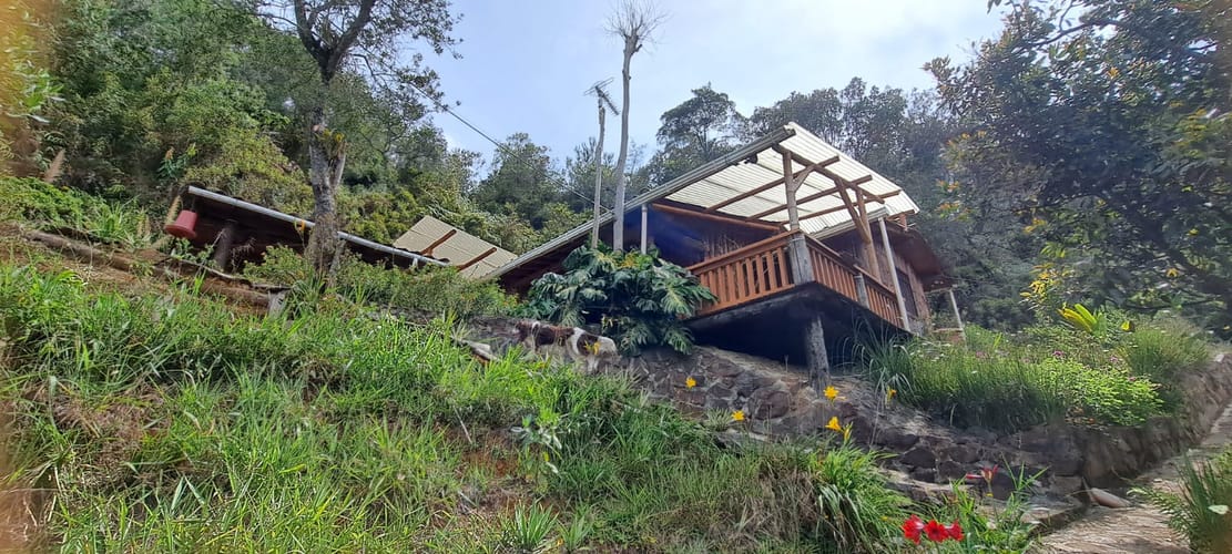Finca en venta en Sajonia, Rionegro, 34365 m² · foto 8 de 24