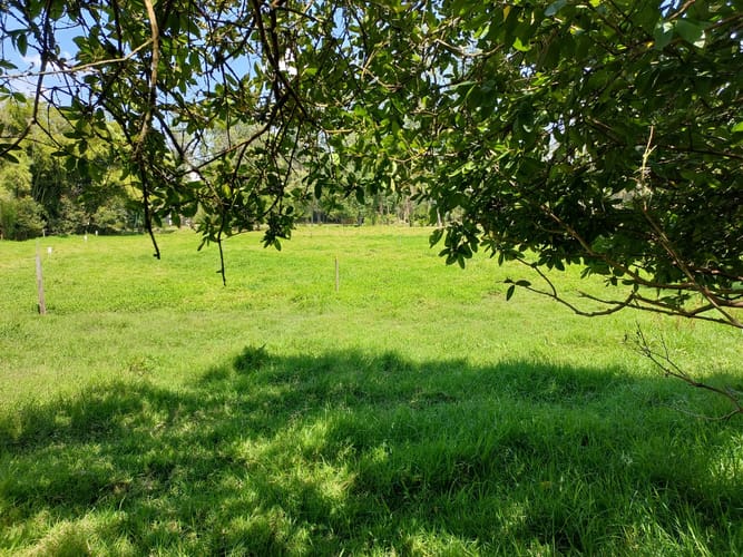 Lote en venta en El Porvenir, Rionegro, 4602 m² · foto 11 de 11