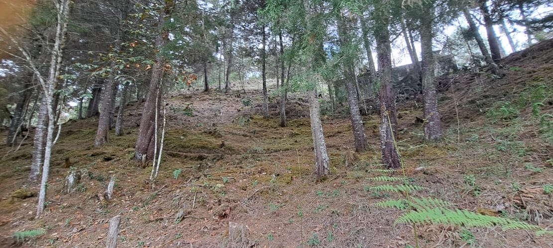 Lote en venta en Los Salados, El Retiro, 10121 m² · foto 5 de 12