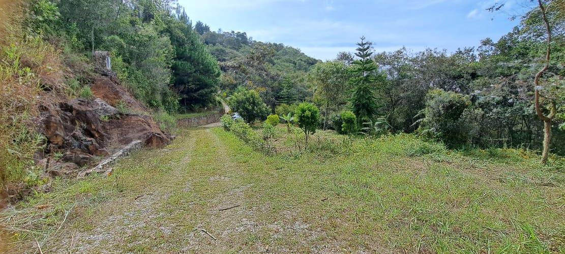 Finca en venta en Sajonia, Rionegro, 34365 m² · foto 13 de 24