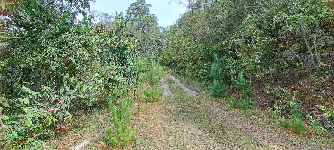 Finca en venta en Sajonia, Rionegro, 34365 m² · foto 15 de 24