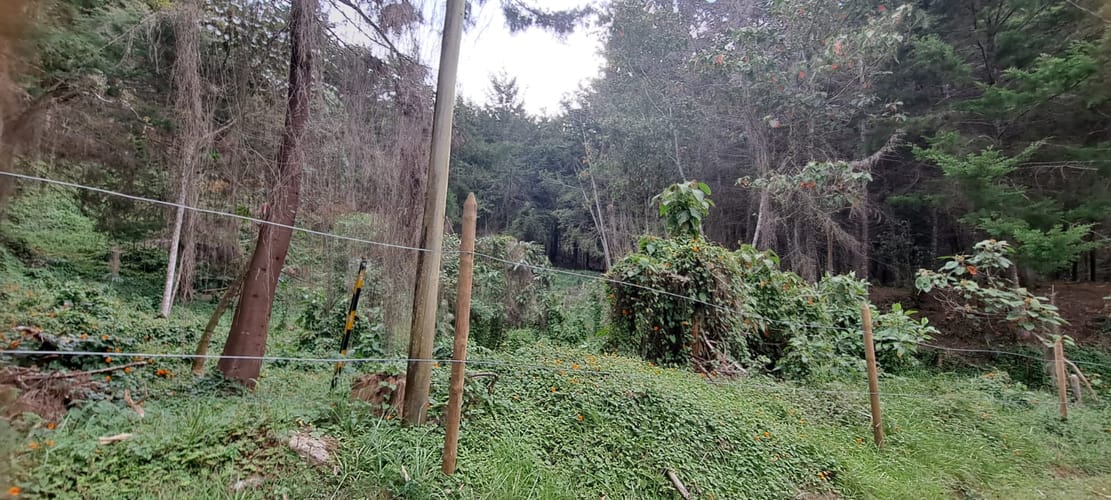 Lote en venta en Los Salados, El Retiro, 10121 m² · foto 10 de 12