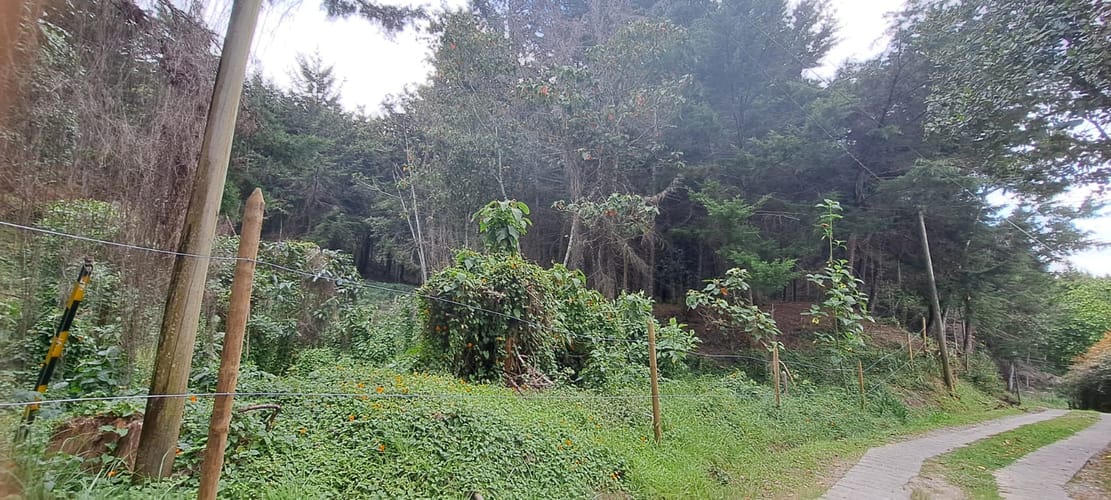 Lote en venta en Los Salados, El Retiro, 10121 m² · foto 11 de 12