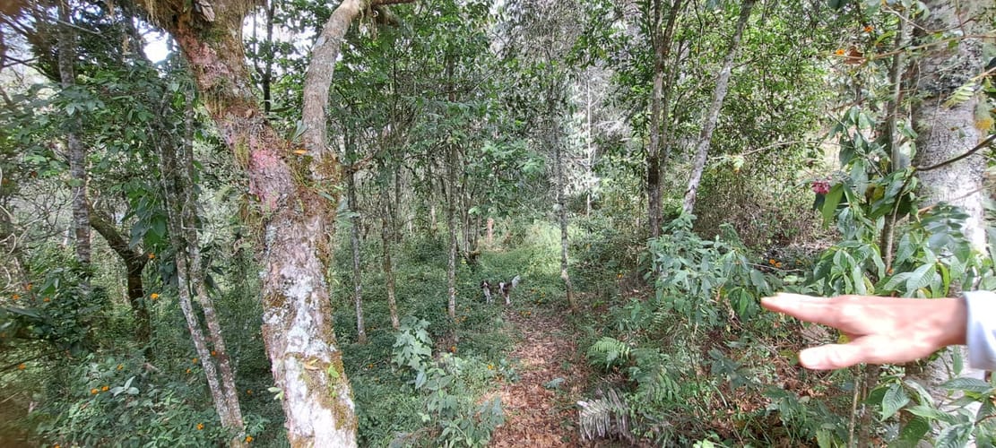 Finca en venta en Sajonia, Rionegro, 34365 m² · foto 18 de 24