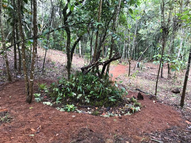 Finca en venta en Sajonia, Rionegro, 34365 m² · foto 20 de 24