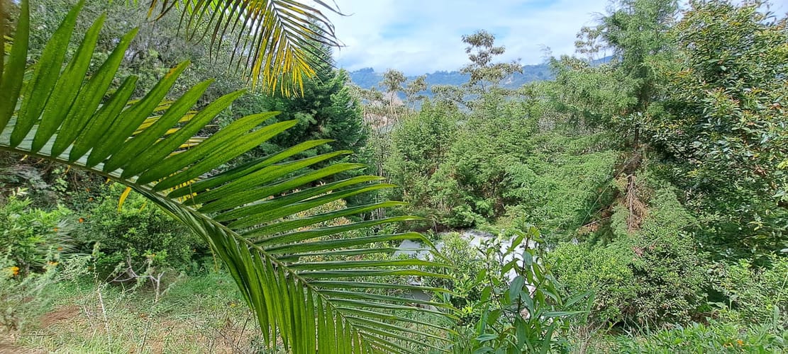 Finca en venta en Sajonia, Rionegro, 34365 m² · foto 21 de 24