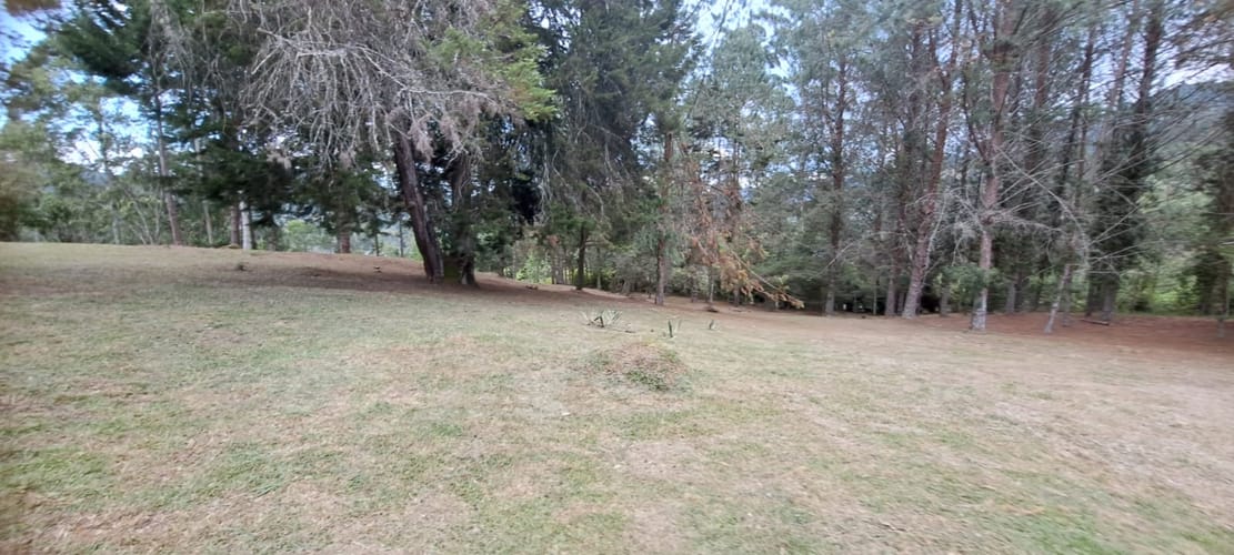 Lote en venta en Los Salados, El Retiro, 21441 m² · foto 2 de 24