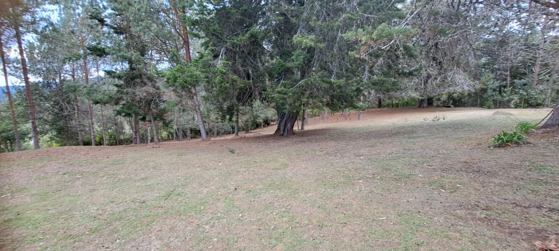Lote en venta en Los Salados, El Retiro, 21441 m² · foto 4 de 24