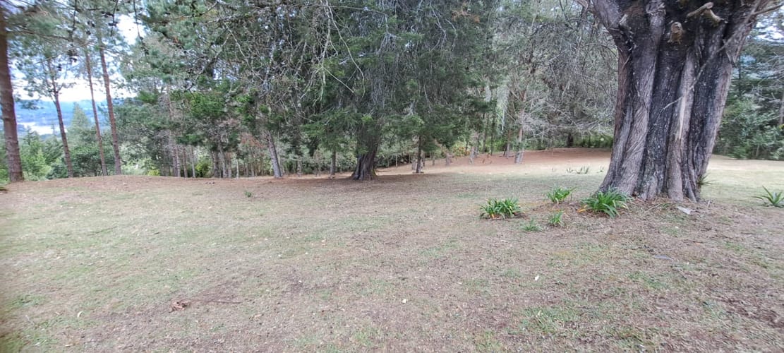 Lote en venta en Los Salados, El Retiro, 21441 m² · foto 6 de 24