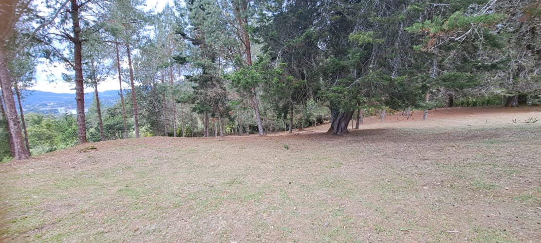 Lote en venta en Los Salados, El Retiro, 21441 m² · foto 7 de 24