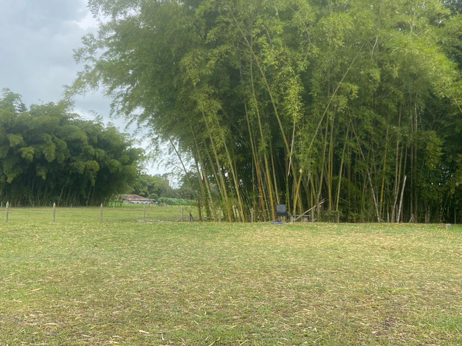 Lote en venta en Llano Grande, Rionegro, 72 m² · foto 6 de 17