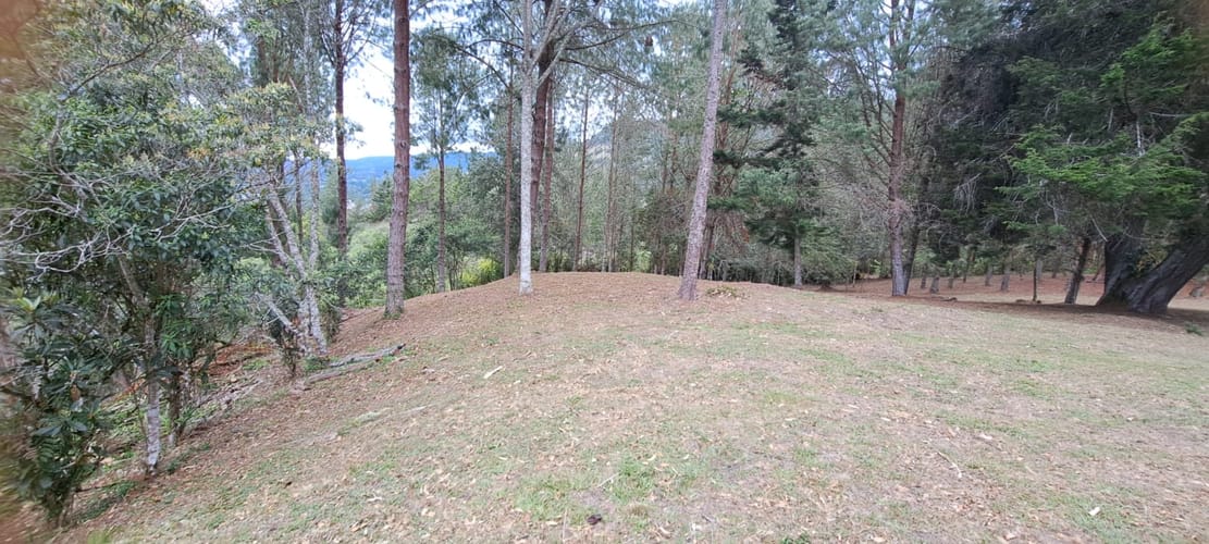Lote en venta en Los Salados, El Retiro, 21441 m² · foto 10 de 24