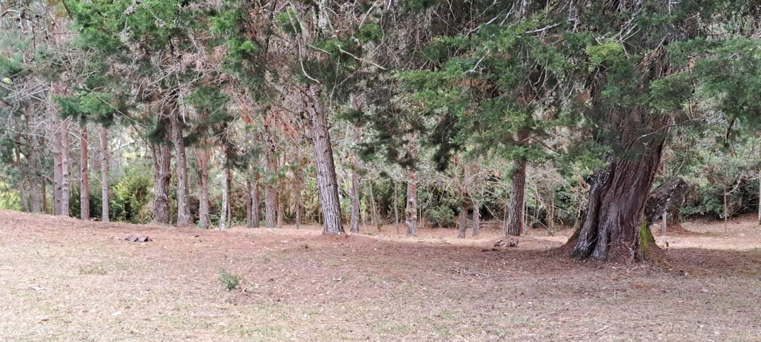 Lote en venta en Los Salados, El Retiro, 21441 m² · foto 11 de 24