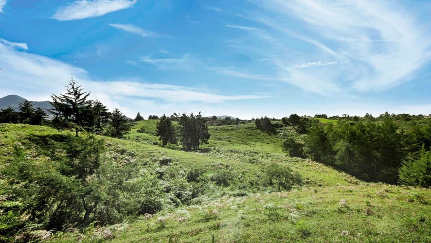 Lote en venta en La Sonadora, El Carmen de Viboral, 2964 m² · foto 2 de 6