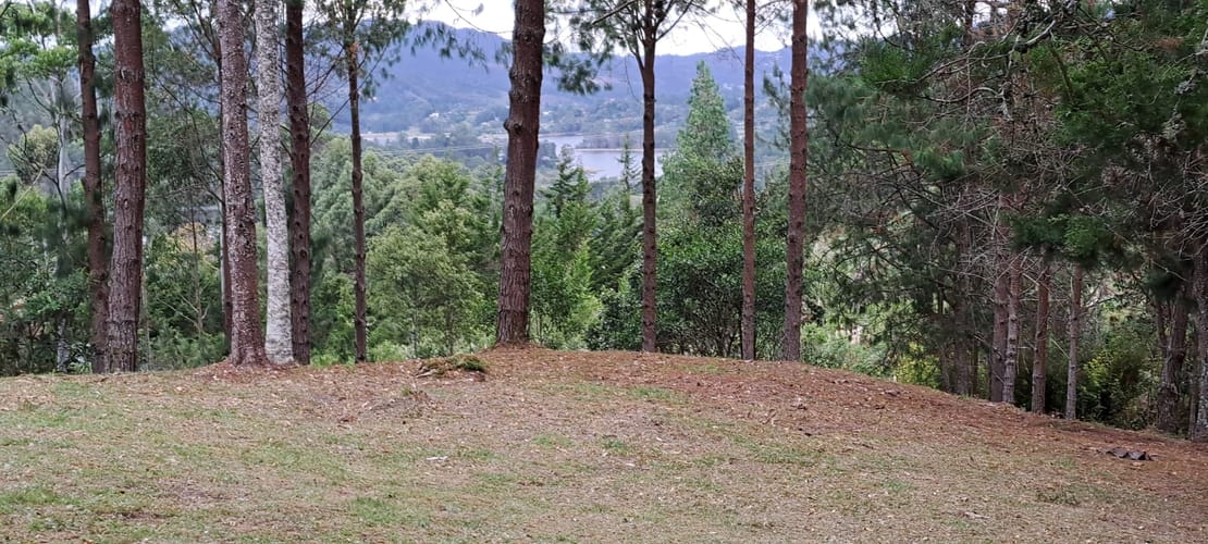 Lote en venta en Los Salados, El Retiro, 21441 m² · foto 14 de 24