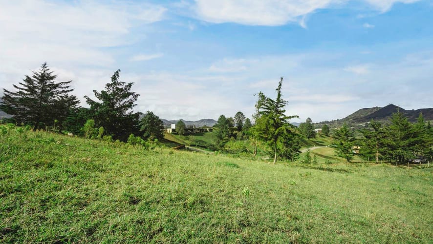 Lote en venta en La Sonadora, El Carmen de Viboral, 2964 m² · foto 3 de 6