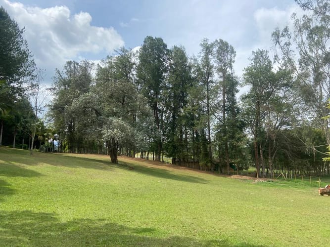 Finca en venta en El Porvenir, Rionegro, 7600 m² · foto 5 de 24