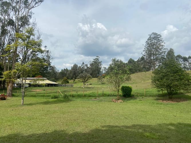 Finca en venta en El Porvenir, Rionegro, 7600 m² · foto 6 de 24