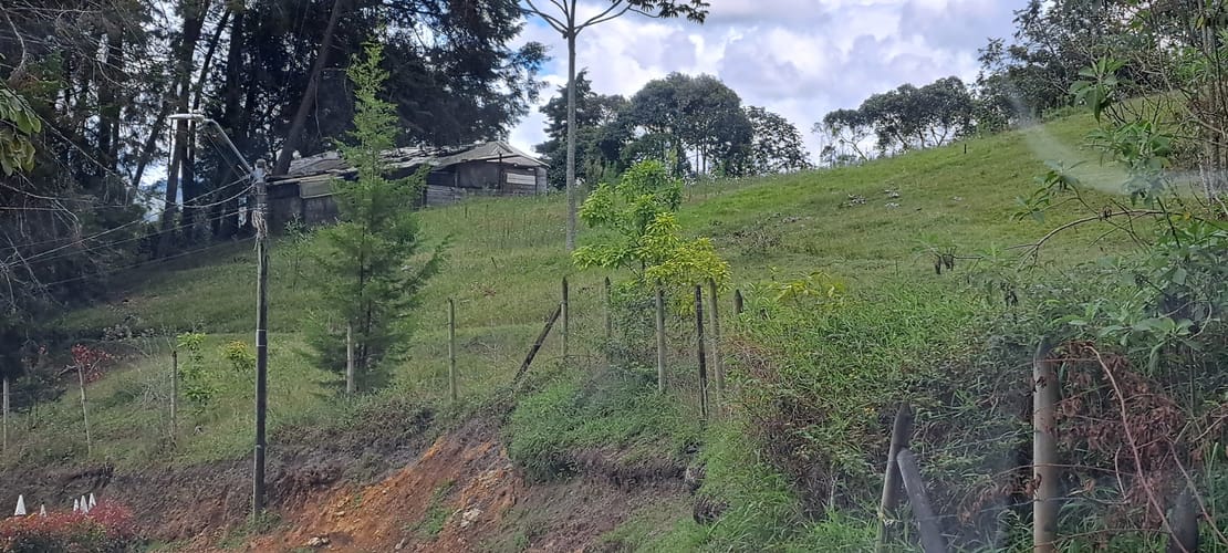 Lote en venta en El Porvenir, Rionegro, 13176 m² · foto 3 de 16