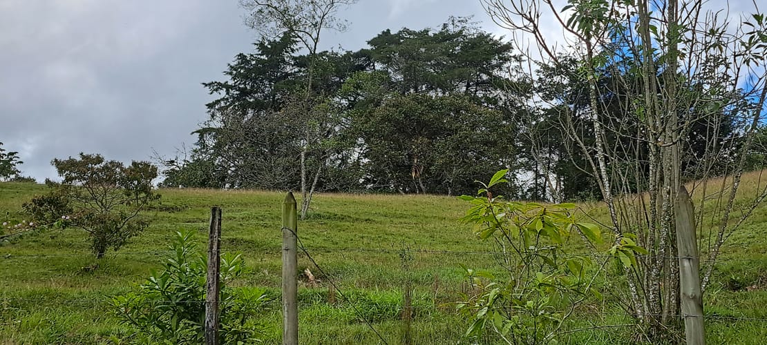 Lote en venta en El Porvenir, Rionegro, 13176 m² · foto 6 de 16