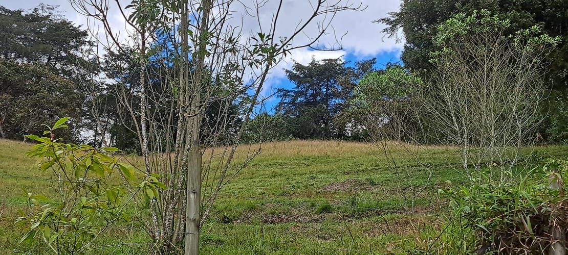 Lote en venta en El Porvenir, Rionegro, 13176 m² · foto 8 de 16