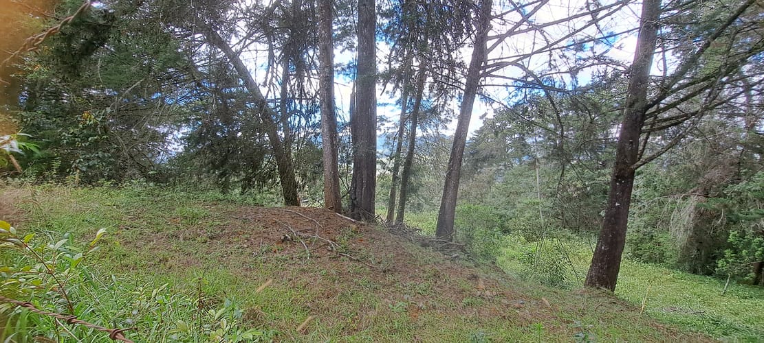 Lote en venta en El Porvenir, Rionegro, 13176 m² · foto 10 de 16