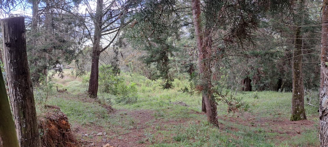 Lote en venta en El Porvenir, Rionegro, 13176 m² · foto 11 de 16