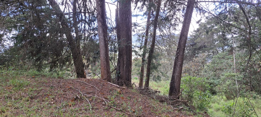 Lote en venta en El Porvenir, Rionegro, 13176 m² · foto 13 de 16