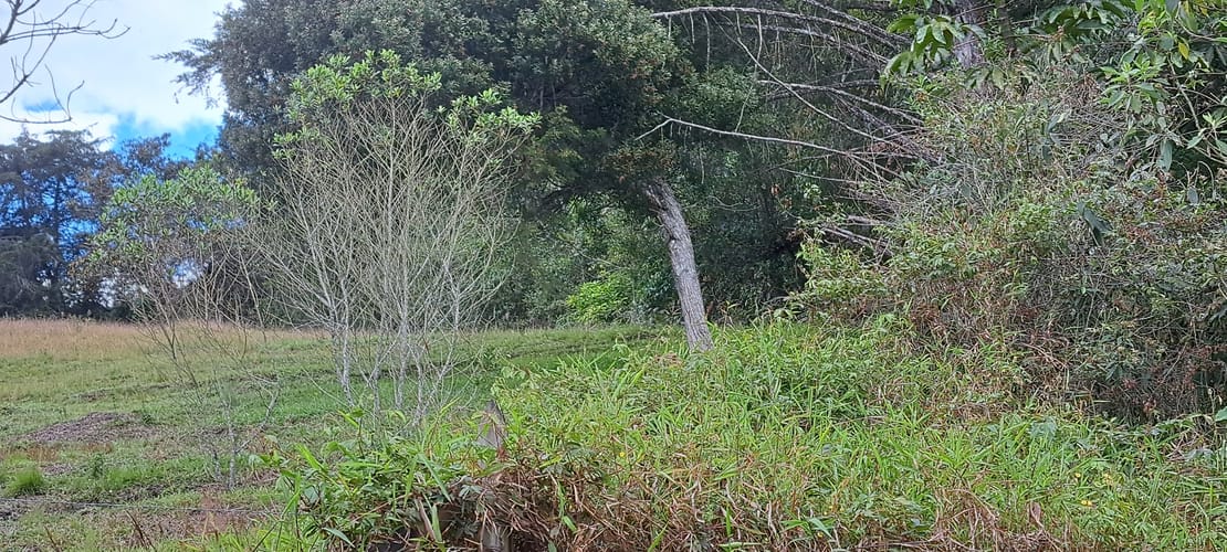 Lote en venta en El Porvenir, Rionegro, 13176 m² · foto 14 de 16