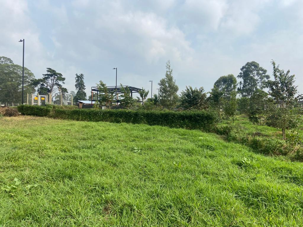 Land in El porvenir (350 m²) for Sale - 2