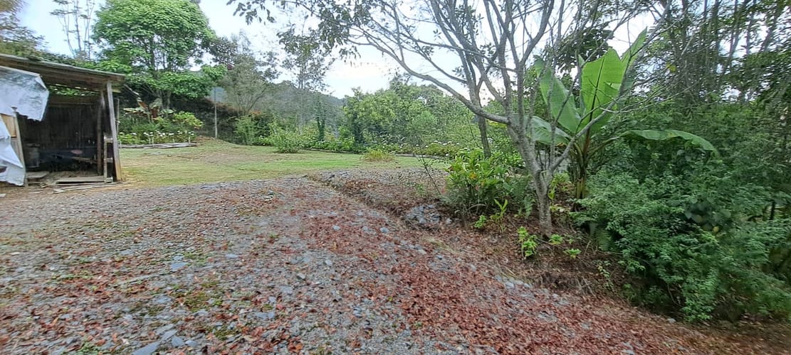 Lote en venta en Vía Las Palmas, Envigado, 2341 m² · foto 4 de 11