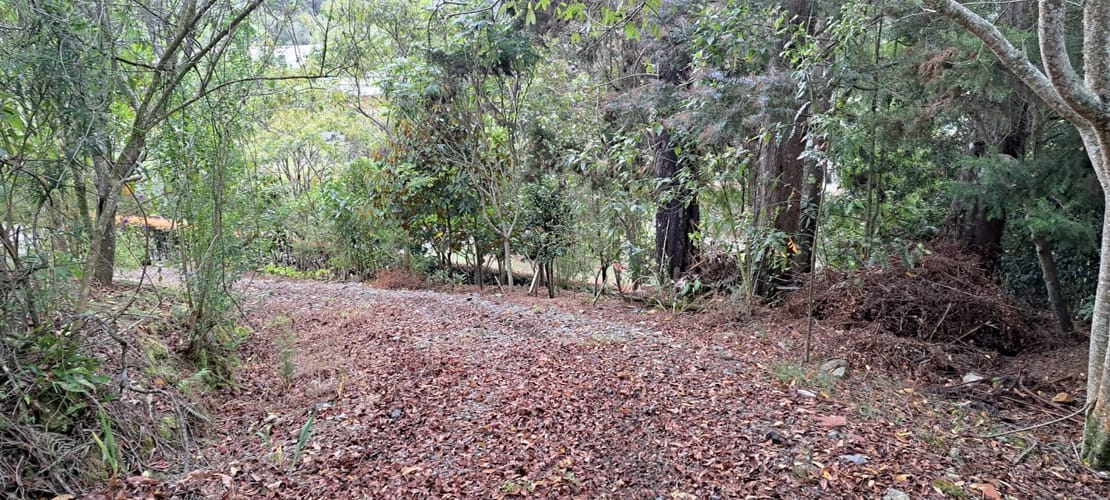 Lote en venta en Vía Las Palmas, Envigado, 2341 m² · foto 5 de 11
