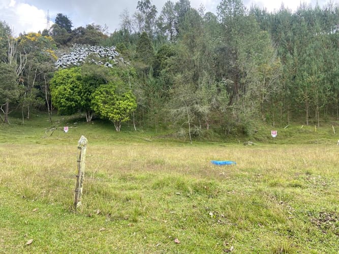 Lote en venta en Sajonia, Rionegro, 1006 m² · foto 14 de 17