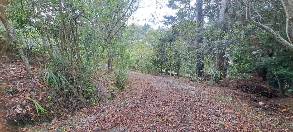 Lote en venta en Vía Las Palmas, Envigado, 2341 m² · foto 9 de 11