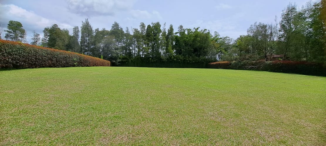 Lote en venta en Cabeceras De Llanogrande, Rionegro, 3201 m² · foto 5 de 10