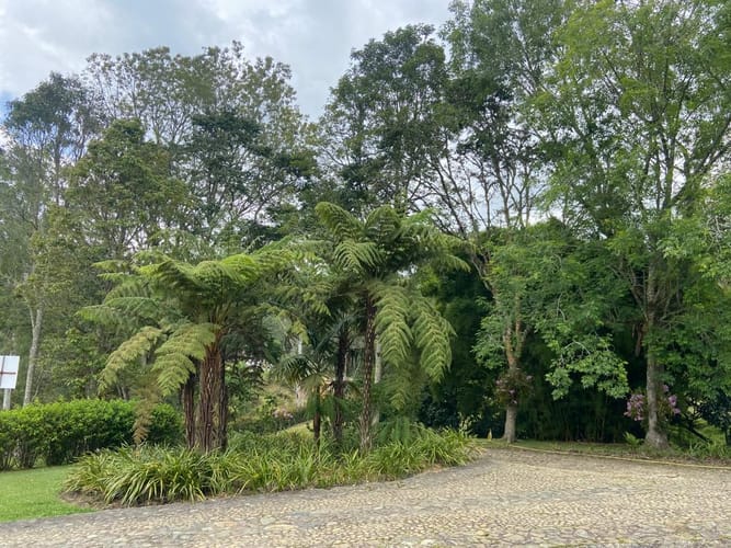 Lote en venta en Sajonia, Rionegro, 1006 m² · foto 15 de 17