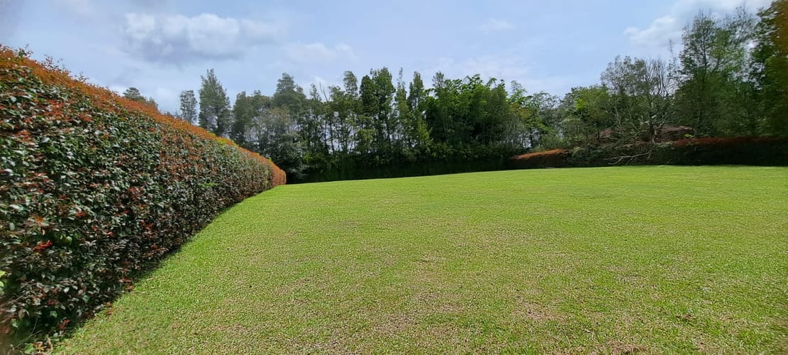 Lote en venta en Cabeceras De Llanogrande, Rionegro, 3201 m² · foto 6 de 10