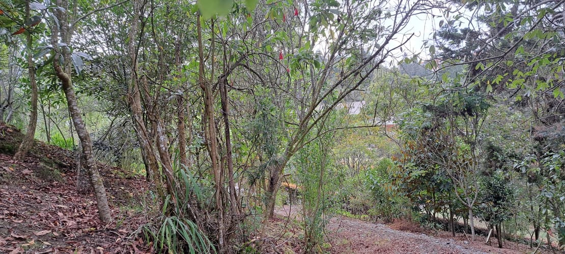 Lote en venta en Vía Las Palmas, Envigado, 2341 m² · foto 11 de 11