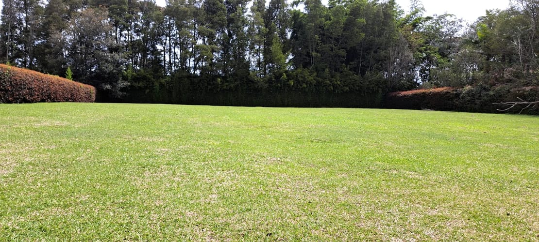 Lote en venta en Cabeceras De Llanogrande, Rionegro, 3201 m² · foto 10 de 10