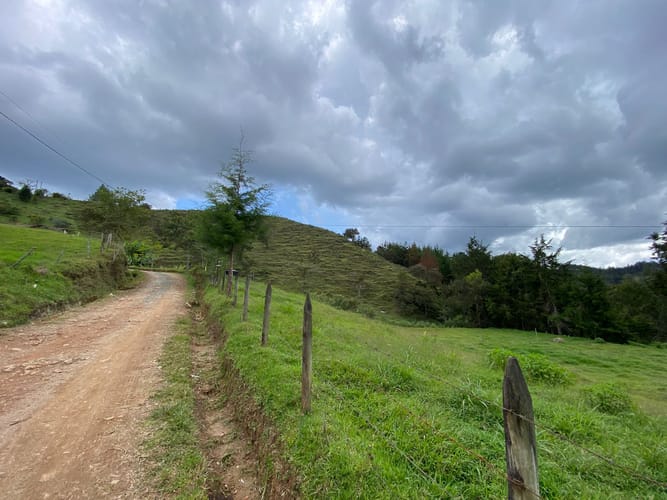 Lote en venta en Pantanillo, El Retiro, 5000 m² · foto 3 de 14
