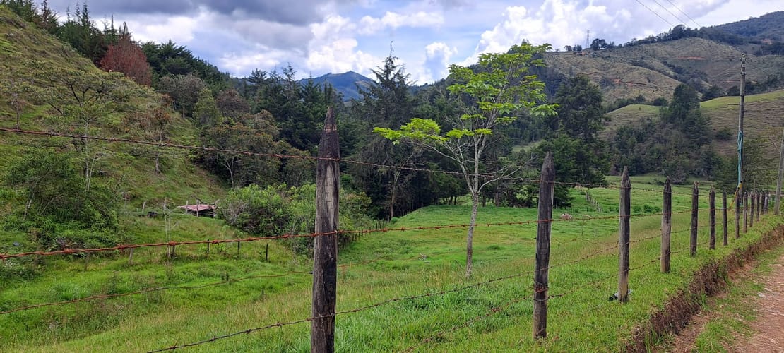 Lote en venta en Pantanillo, El Retiro, 5000 m² · foto 4 de 14