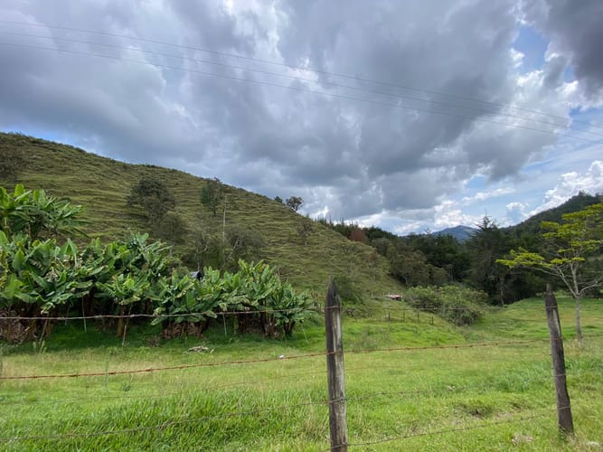Lote en venta en Pantanillo, El Retiro, 5000 m² · foto 8 de 14