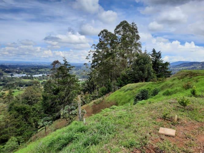 Lote en venta en El Porvenir, Rionegro, 6400 m² · foto 8 de 11