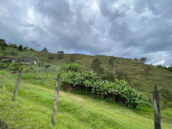 Lote en venta en Pantanillo, El Retiro, 5000 m² · foto 9 de 14