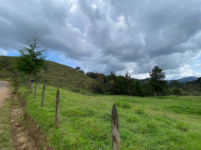 Lote en venta en Pantanillo, El Retiro, 5000 m² · foto 11 de 14